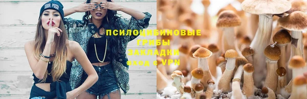 mdpv Белокуриха