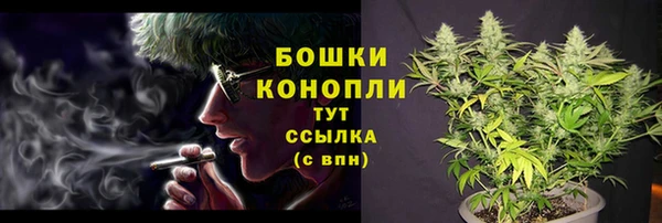 гашиш Богданович