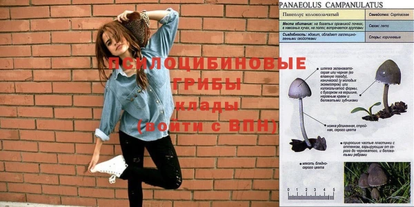 гашиш Богданович