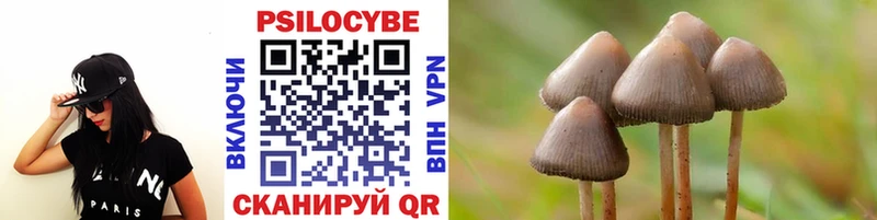 гидра как войти  Назарово  Галлюциногенные грибы GOLDEN TEACHER 